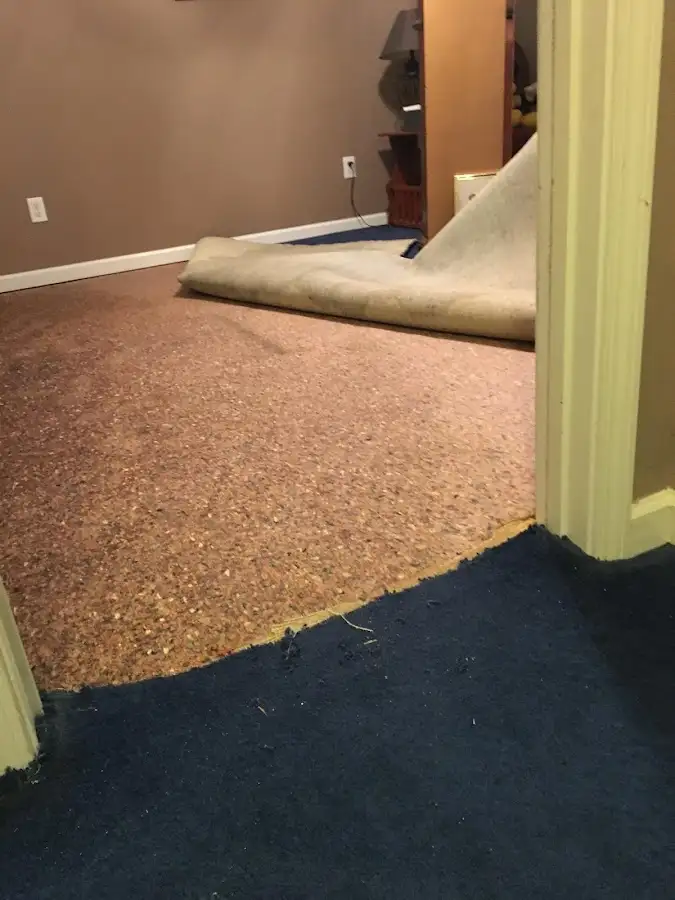 Carpet pad removal revealing water damage during Drying & Dehumidification in Stony Point