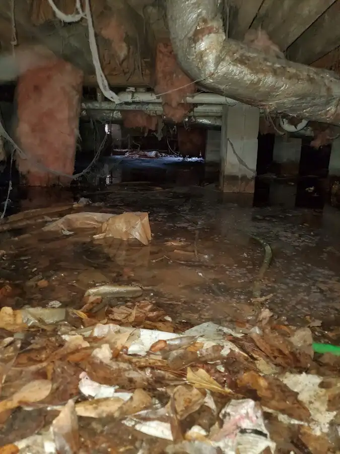 Crawl space flood assessment for Leak Detection & Repair in Stony Point